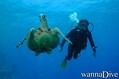 foto de buceo