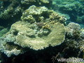 foto de buceo