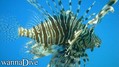 foto de buceo