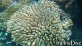 foto de buceo