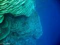 foto de buceo