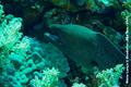 foto de buceo