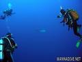 foto de buceo