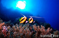 foto de buceo