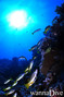 foto de buceo