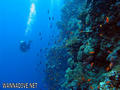 foto de buceo