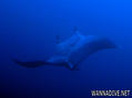 foto de buceo