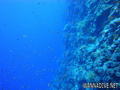 foto de buceo