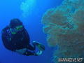 foto de buceo