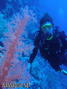 foto de buceo