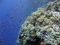 foto de buceo