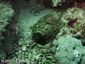 foto de buceo