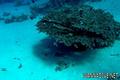 foto de buceo