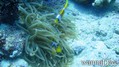 foto de buceo