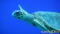 foto de buceo