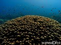 foto de buceo