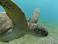 foto de buceo