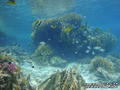 foto de buceo
