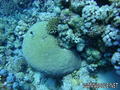 foto de buceo