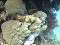 foto de buceo