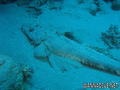 foto de buceo