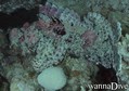 foto de buceo