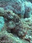 foto de buceo