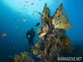 foto de buceo