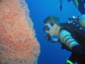 foto de buceo