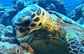 foto de buceo