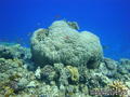 foto de buceo