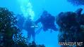 foto de buceo