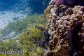 foto de buceo