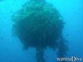 foto de buceo