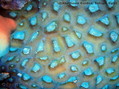 foto de buceo
