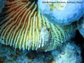 foto de buceo
