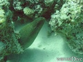 foto de buceo