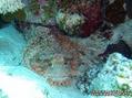 foto de buceo