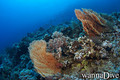 foto de buceo