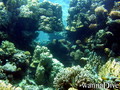 foto de buceo