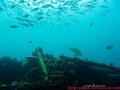 foto de buceo
