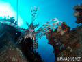 foto de buceo