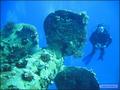foto de buceo