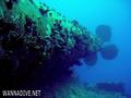 foto de buceo