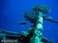 foto de buceo