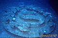 foto de buceo