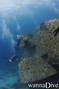 foto de buceo