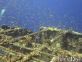 foto de buceo