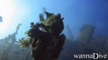 foto de buceo