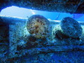foto de buceo